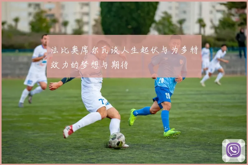 法比奥席尔瓦谈人生起伏与为多特效力的梦想与期待
